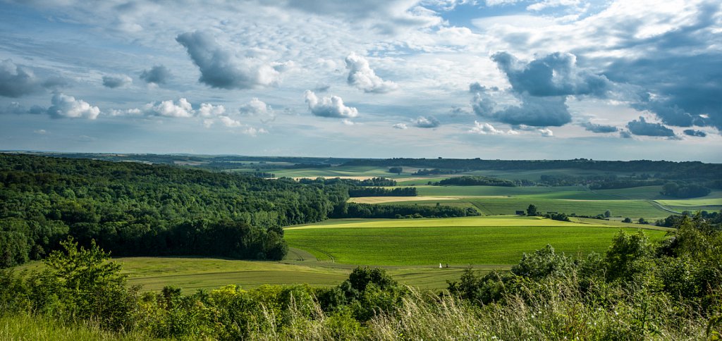 Sur le chemin des Dames
