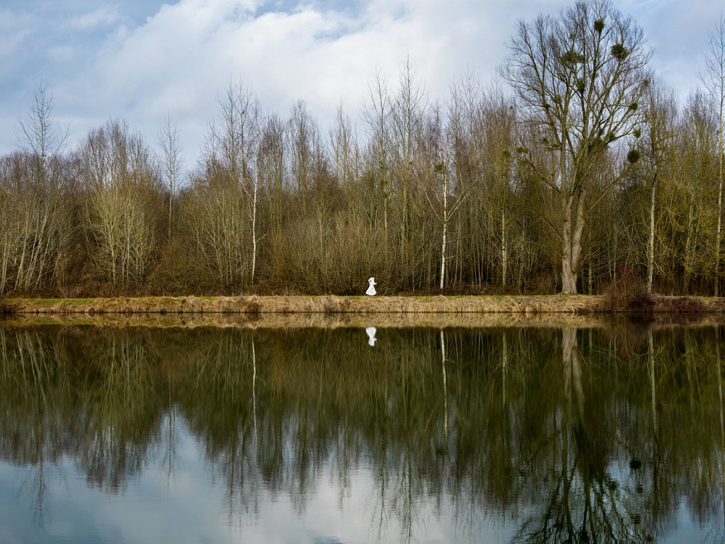 Chemin des dames