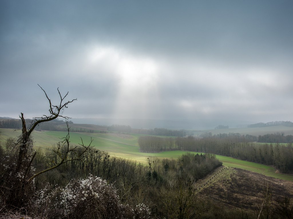 Chemin des dames