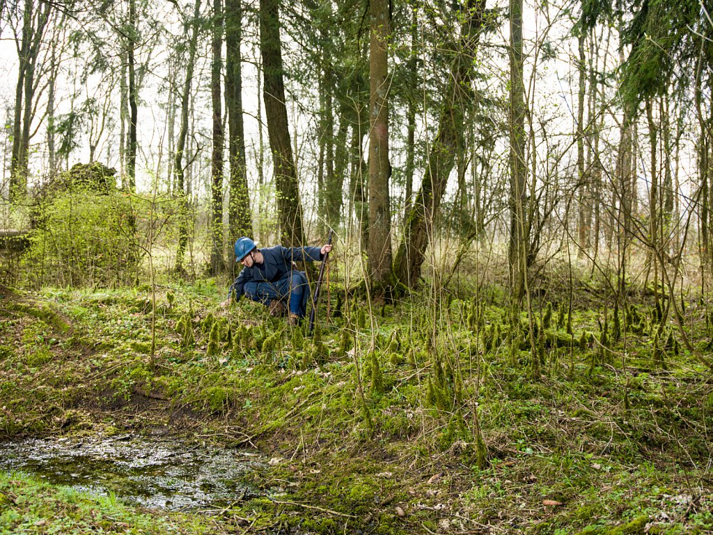 Sur le chemin des Dames