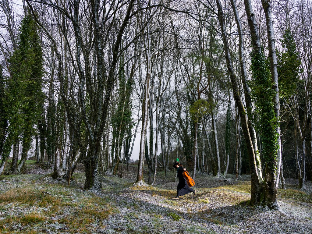 verdun