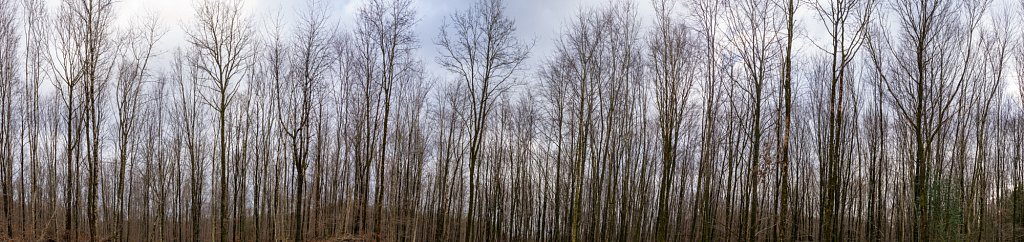 Sur le chemin des Dames